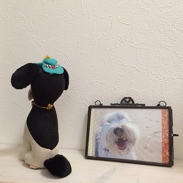 nuiさんの実例写真