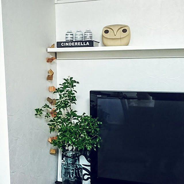 k202128ttさんの実例写真