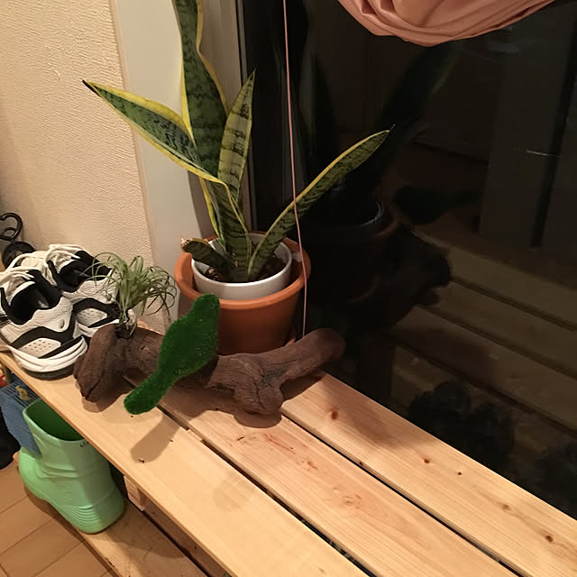 kou-kitiさんの実例写真