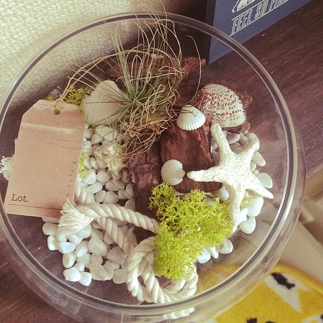 Tomokoさんの実例写真