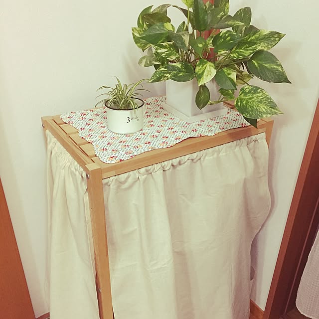 棚/観葉植物/ナチュラルのインテリア実例 - 2016-10-28 10:56:00