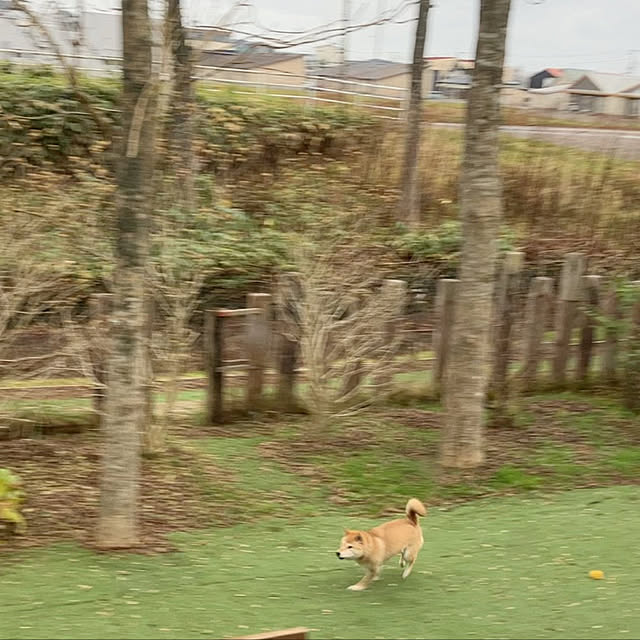 midoさんの実例写真