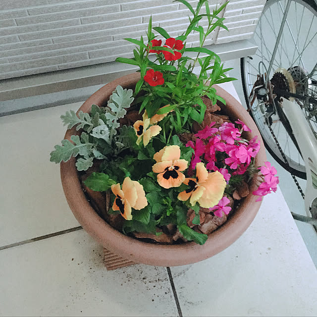 実例写真