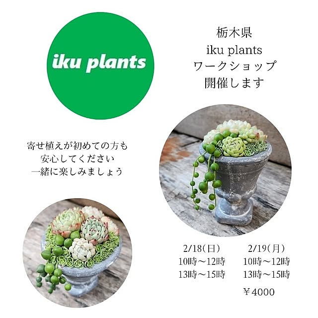 amtさんの実例写真