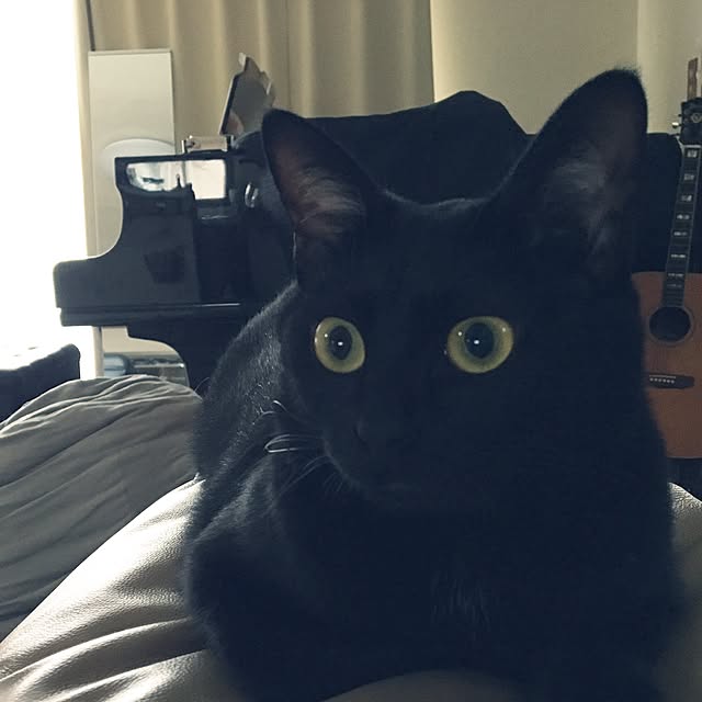 mahi1101さんの実例写真