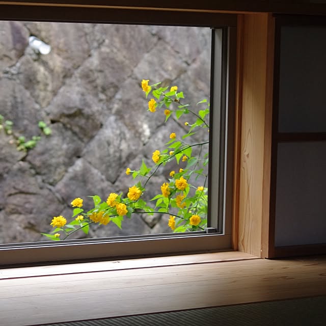 sugomoliさんの実例写真