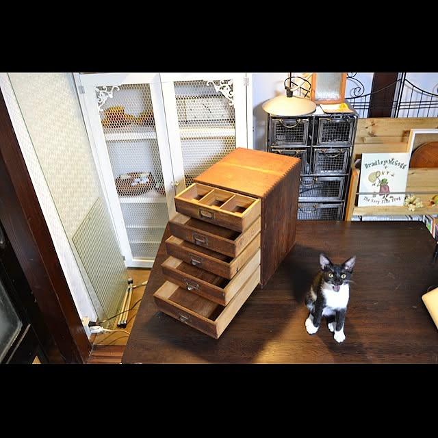 kariさんの実例写真