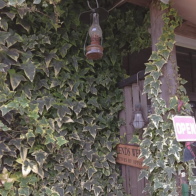 TOROさんの実例写真