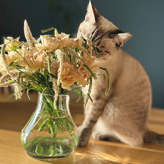 amさんの実例写真
