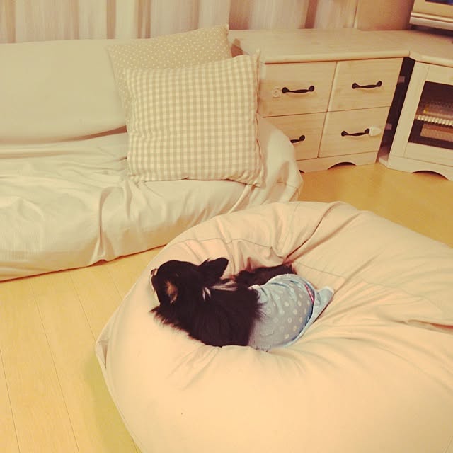 m.m_2009さんの実例写真