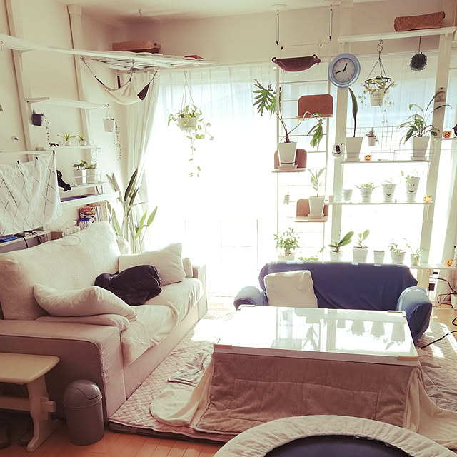 sisimaru1023さんの実例写真