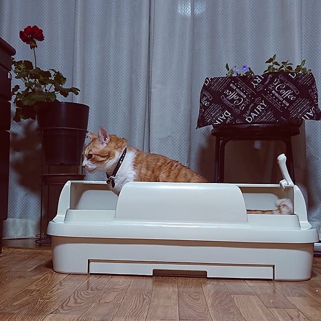 NOAHさんの部屋