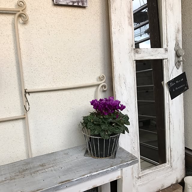 Makoさんの実例写真