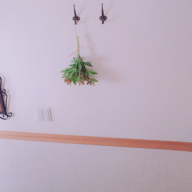 magnoliaさんの実例写真