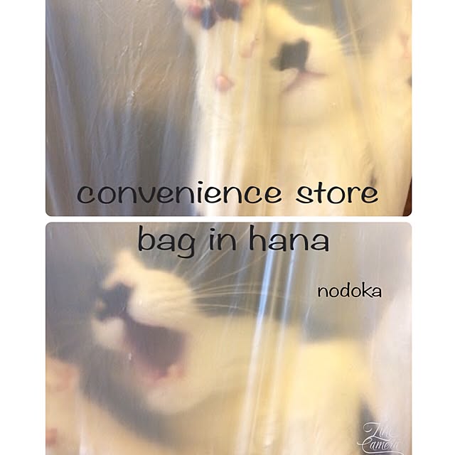 nodokaさんの実例写真