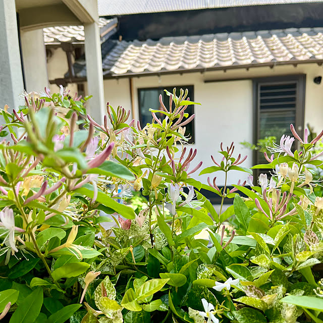 cota2さんの部屋