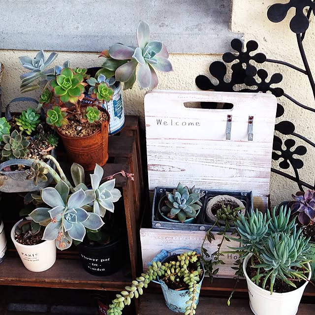 ruteiさんの実例写真