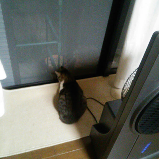 Tomopさんの実例写真