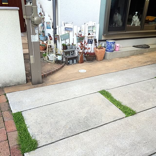 sachiさんの実例写真