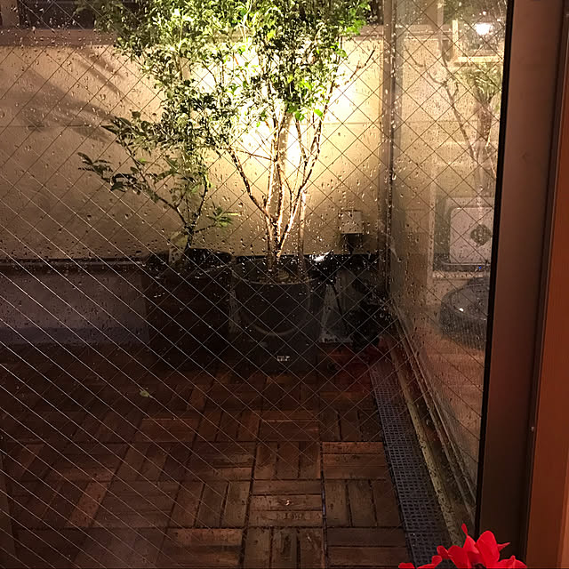 snowさんの実例写真