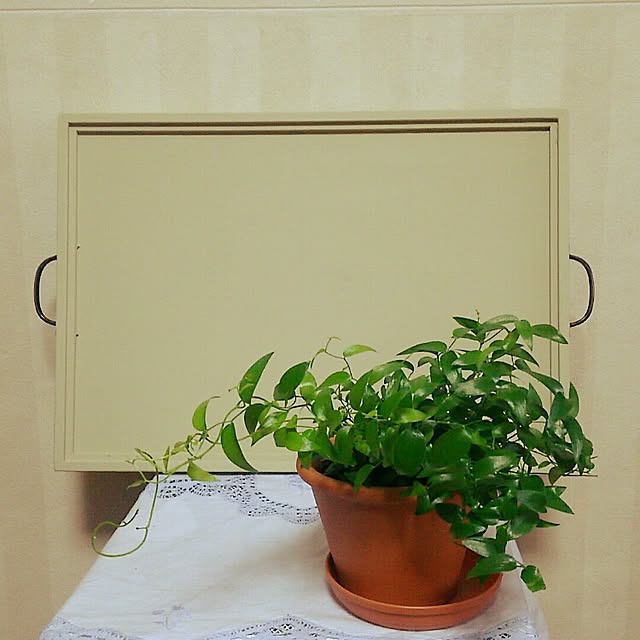 migaoさんの実例写真