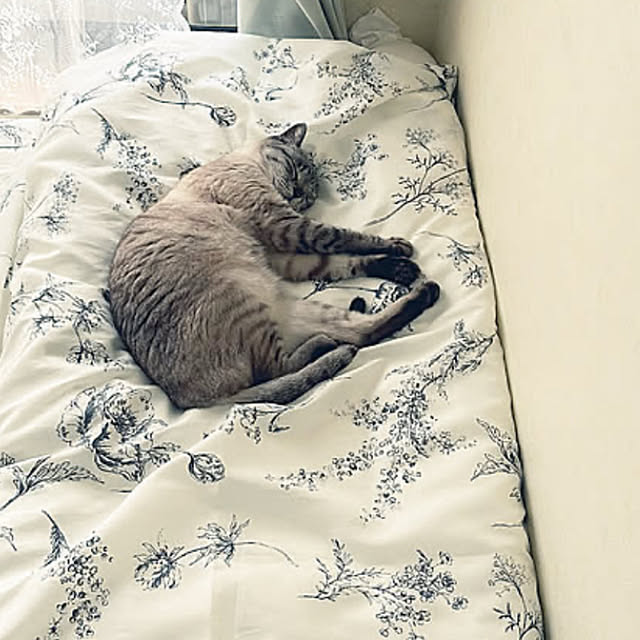 mieさんの実例写真
