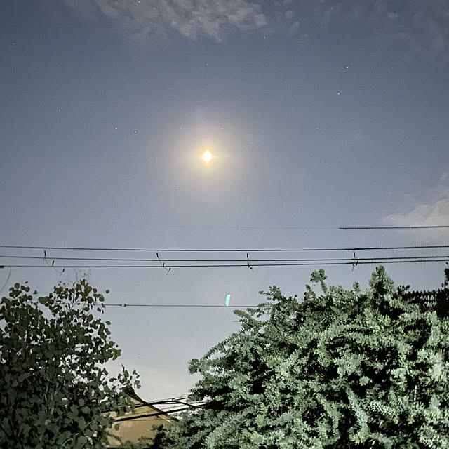 Andaluciaさんの実例写真