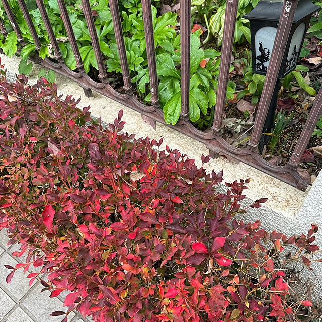 mamizaさんの部屋