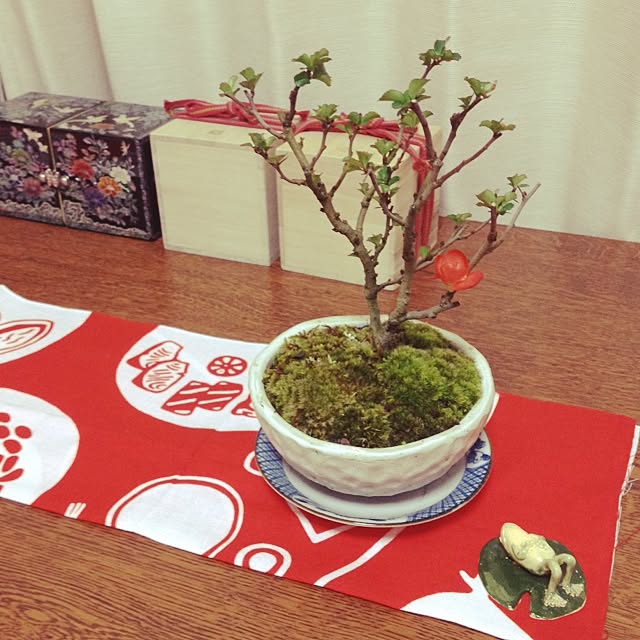 emikkumaさんの実例写真