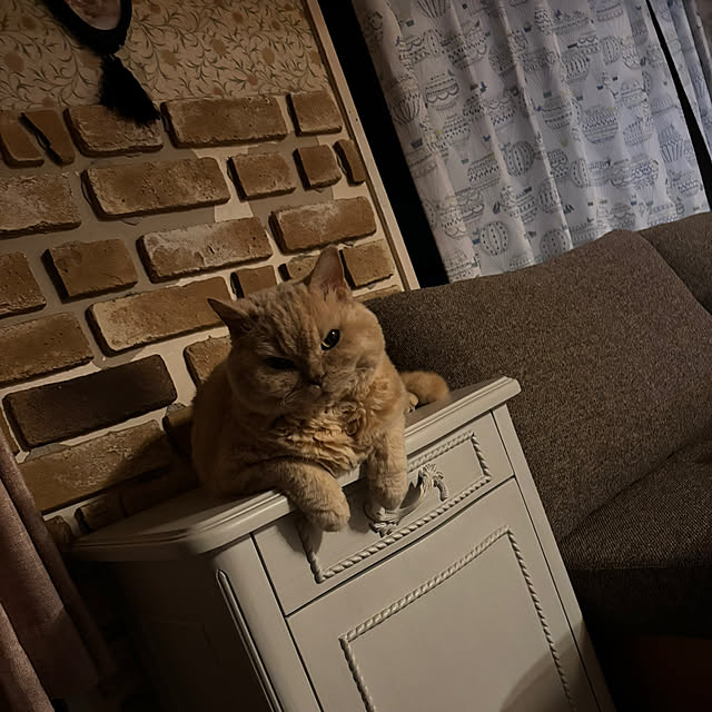 naokoさんの実例写真