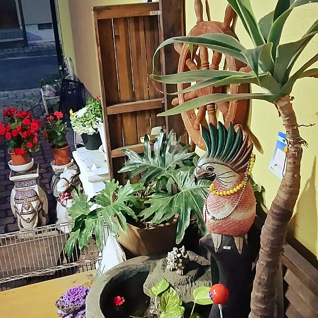 実例写真
