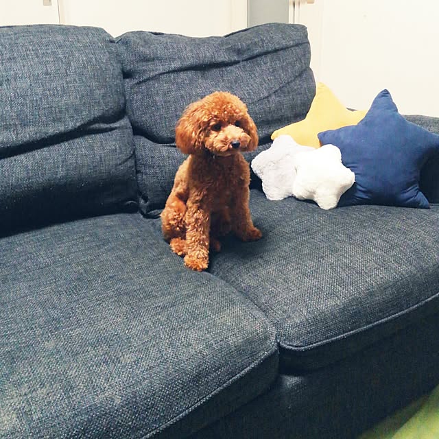 akiasaさんの実例写真