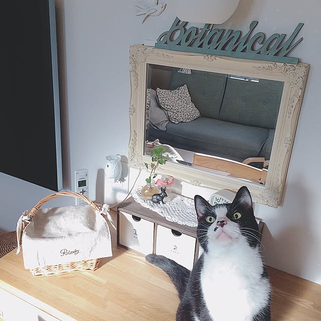 lovecatさんの実例写真