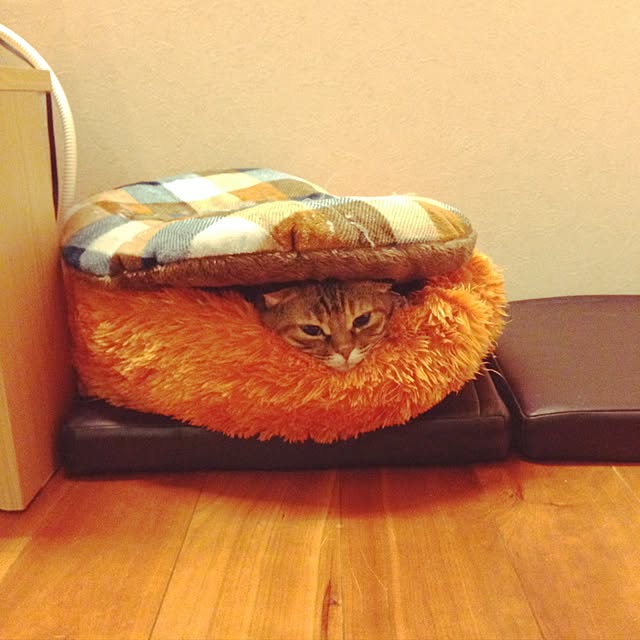 Y.Gさんの実例写真