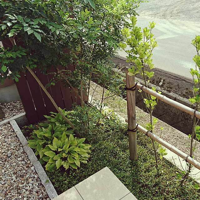 junaさんの実例写真