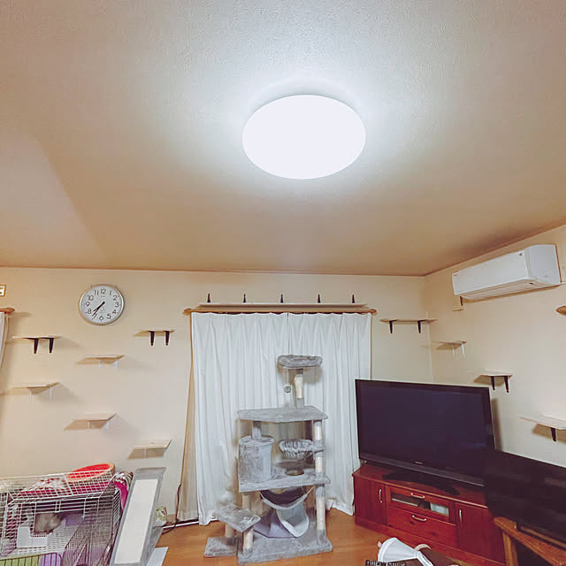 prelumoさんの部屋