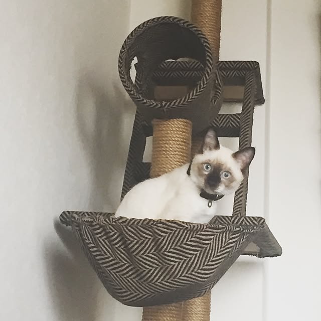 momocoさんの実例写真