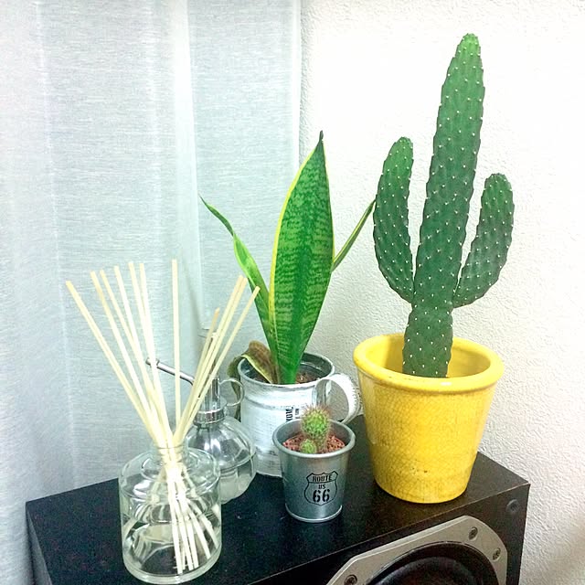 Hr7000さんの実例写真