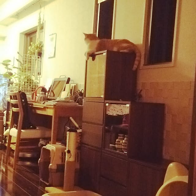 nyariさんの実例写真