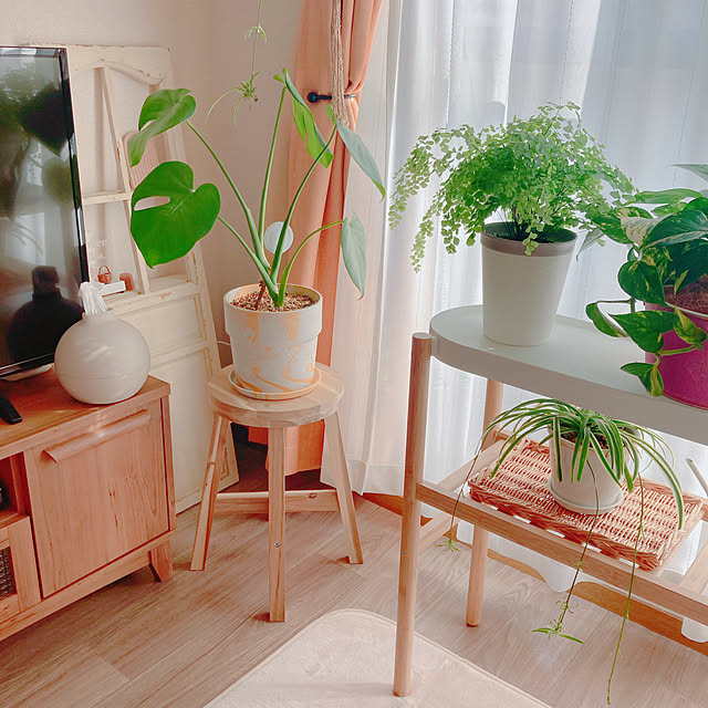 yuyuさんの部屋