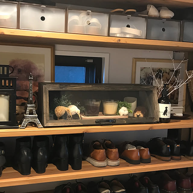 ko-koさんの実例写真