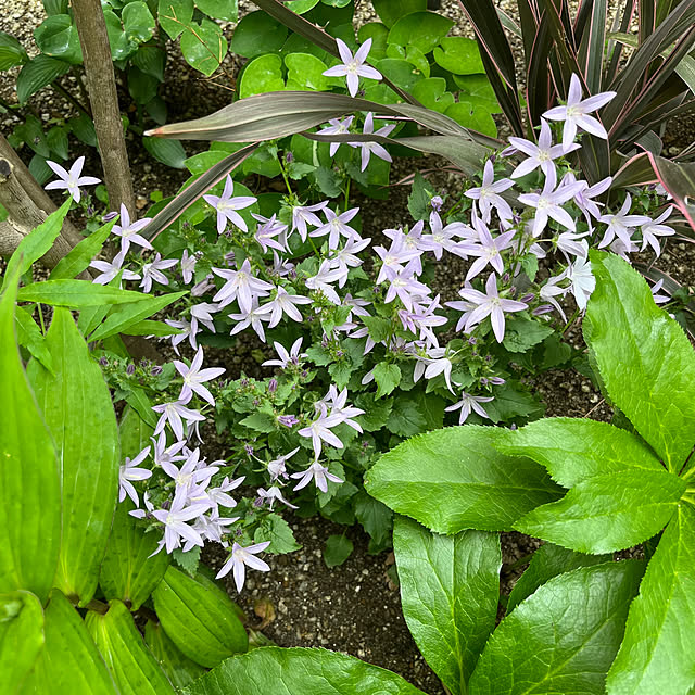 kuuさんの部屋