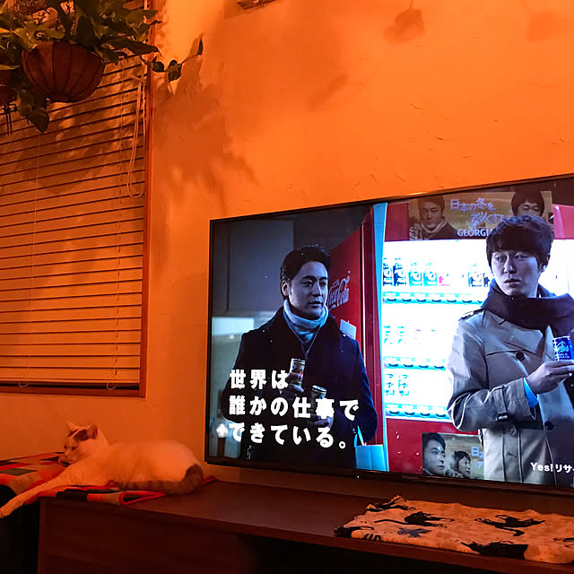 sakurasakuさんの実例写真