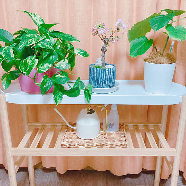 yuyuさんの部屋