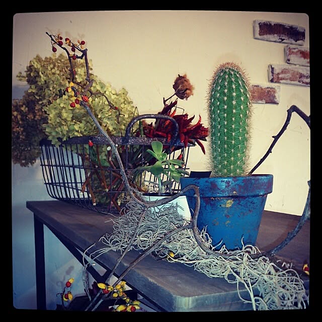 棚/植物のインテリア実例 - 2014-01-18 11:58:39