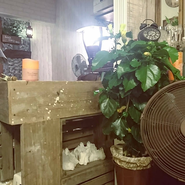 kajyuさんの実例写真