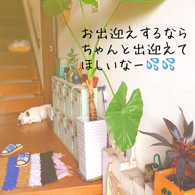38coreさんの実例写真