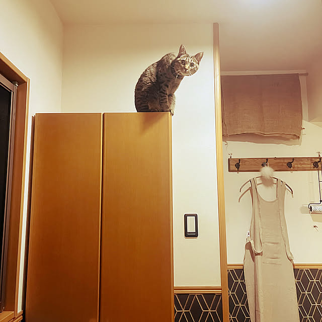 Mさんの実例写真
