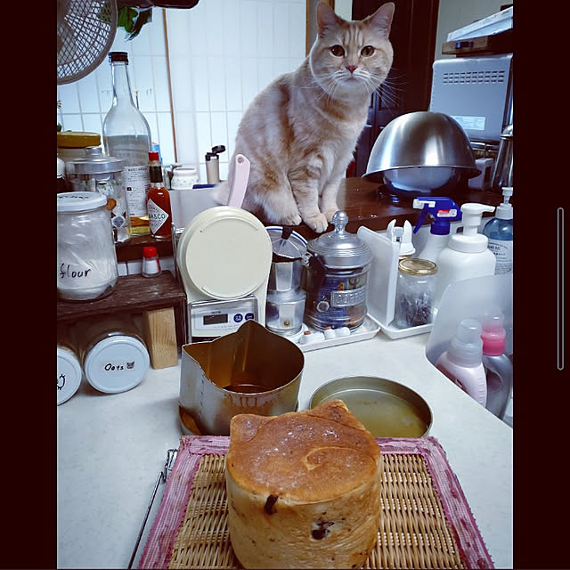 mntcさんの実例写真