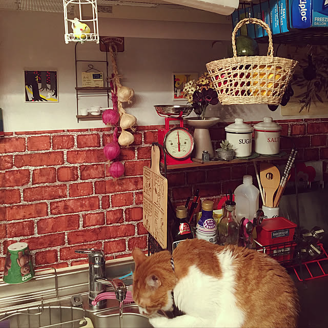 nyanyakoさんの実例写真